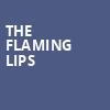 The Flaming Lips, Palace Theatre St Paul, Saint Paul