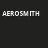 Aerosmith, Xcel Energy Center, Saint Paul