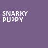 Snarky Puppy, Palace Theatre St Paul, Saint Paul