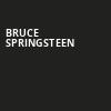 Bruce Springsteen, Xcel Energy Center, Saint Paul